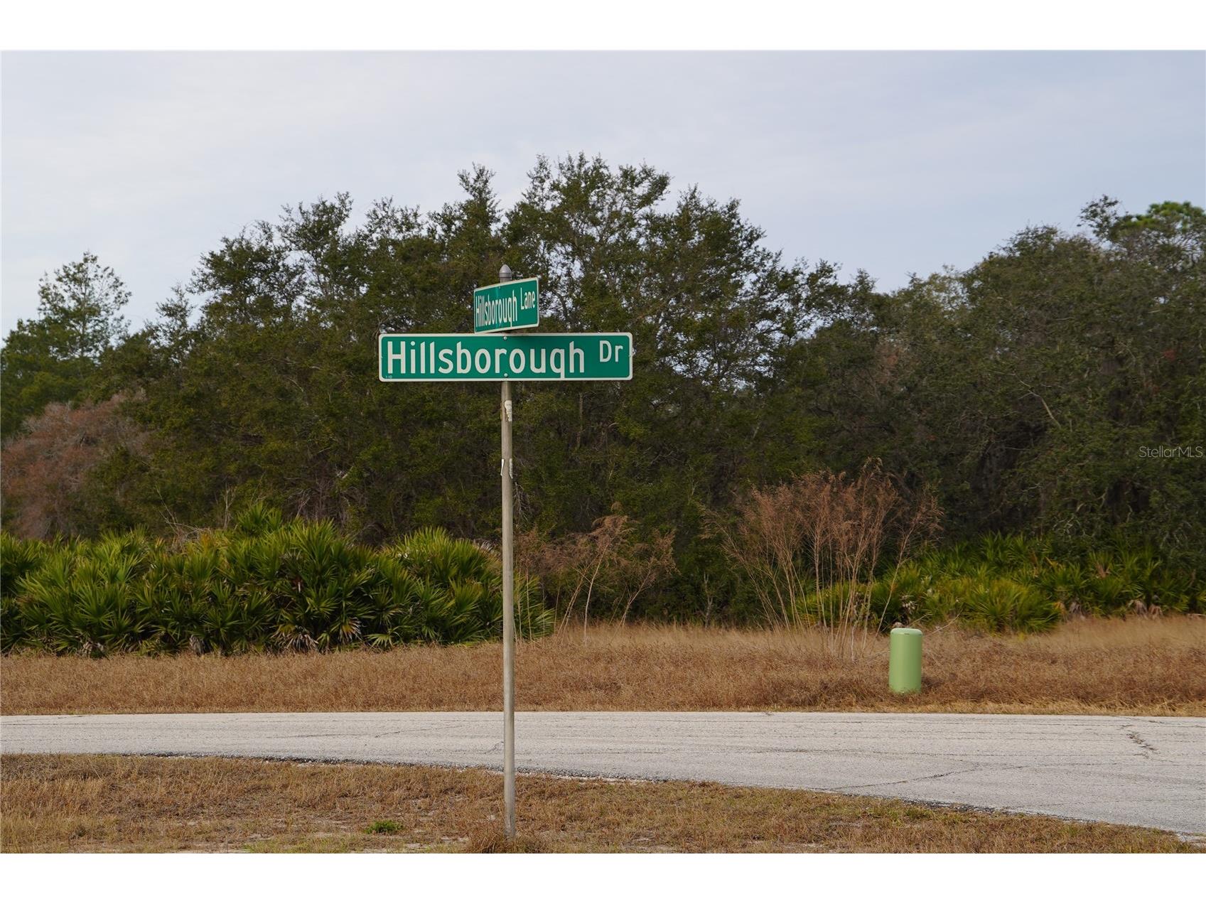 1319 Hillsborough Lane Kissimmee FL 34759 S5143682 image5