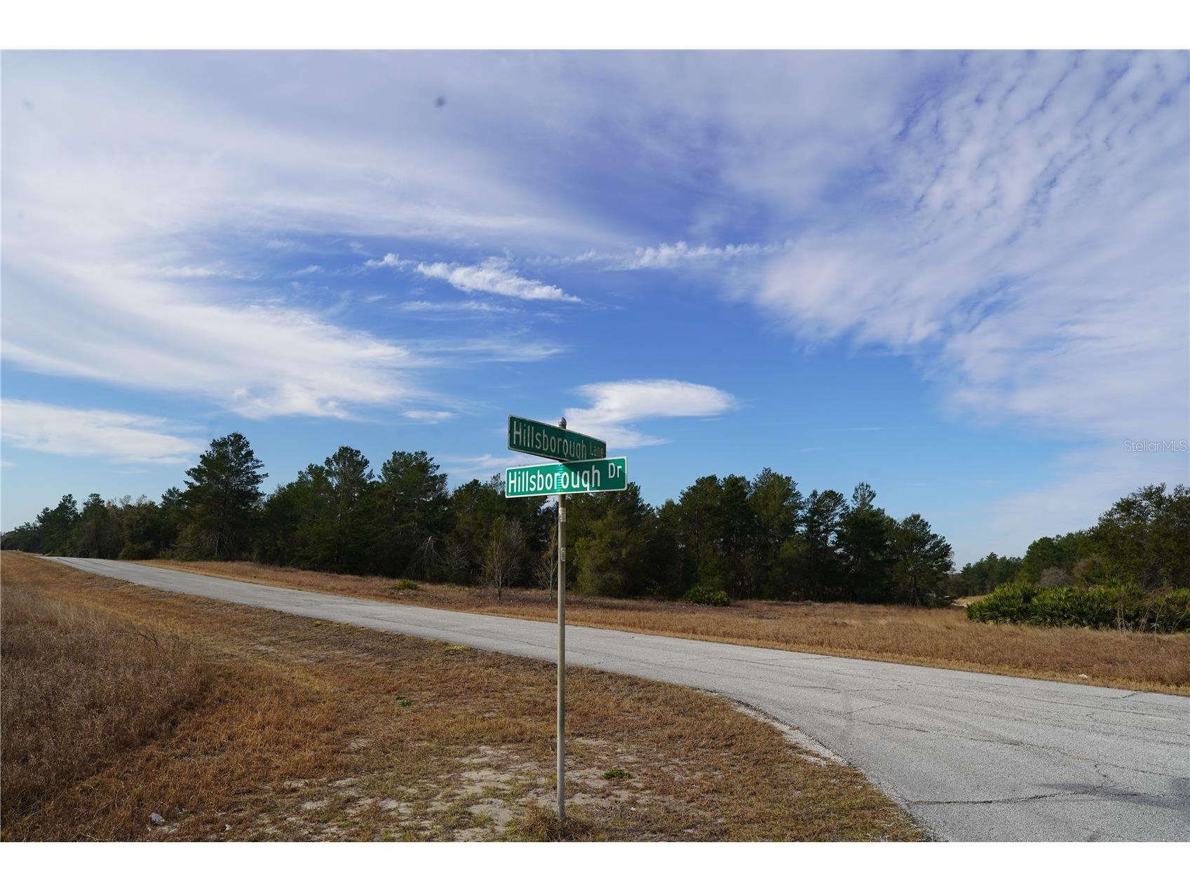1319 Hillsborough Lane Kissimmee FL 34759 S5143682 image6