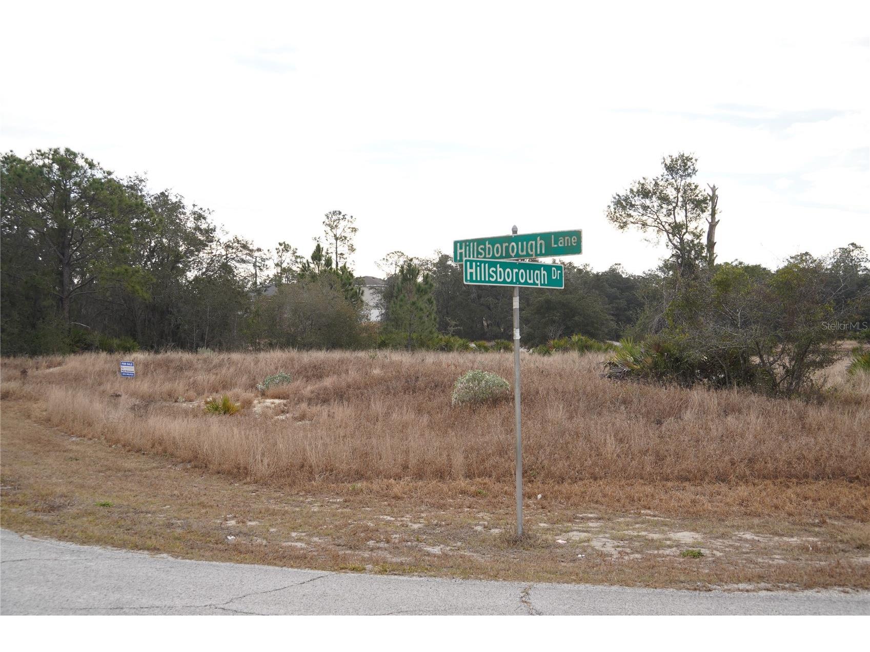 1319 Hillsborough Lane Kissimmee FL 34759 S5143682 image7