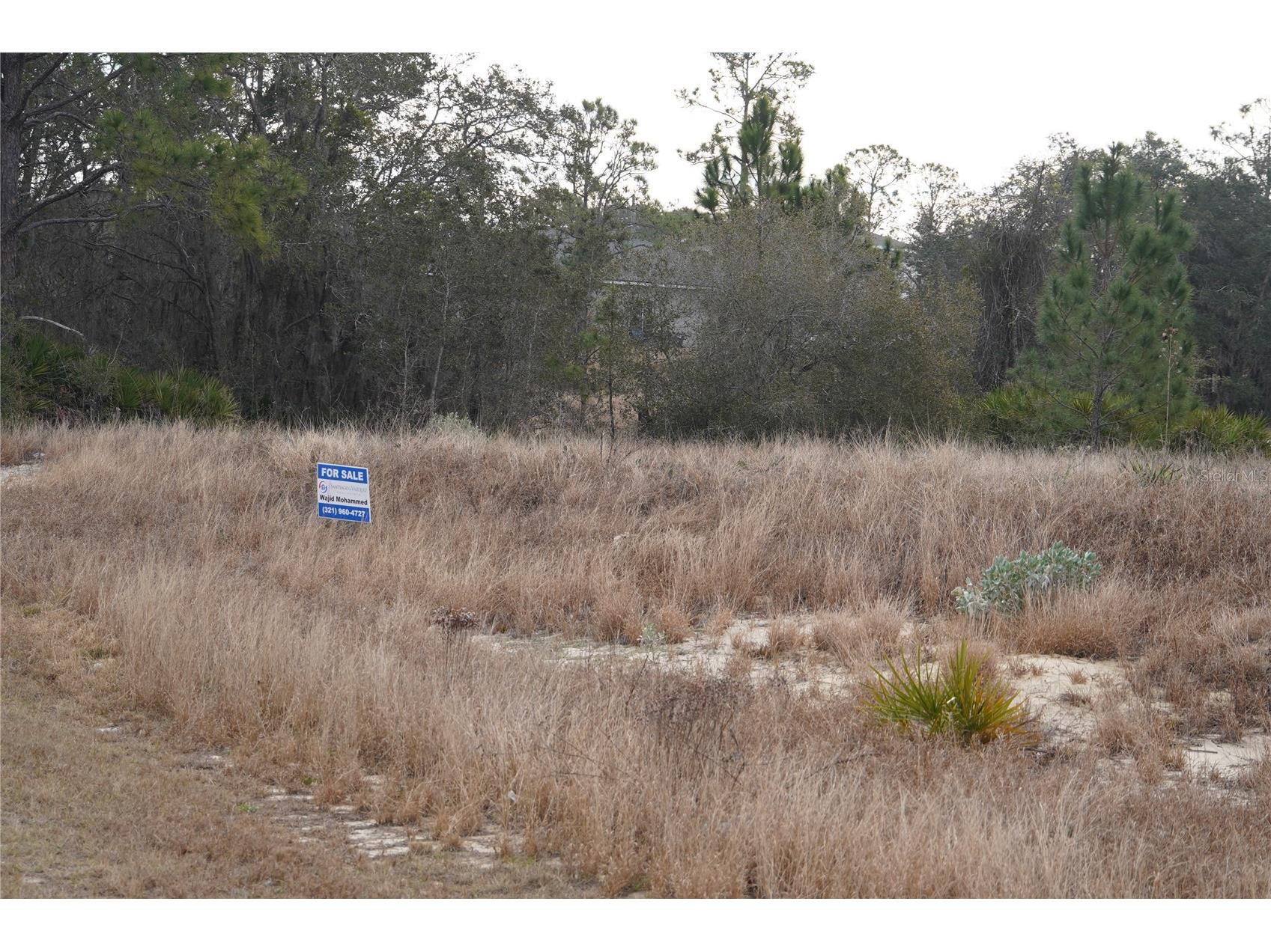 1319 Hillsborough Lane Kissimmee FL 34759 S5143682 image8