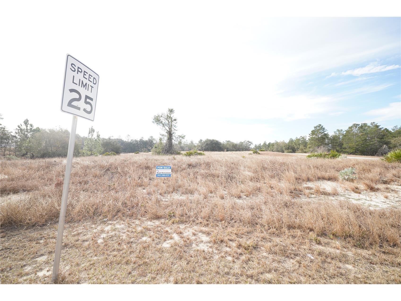 1319 Hillsborough Lane Kissimmee FL 34759 S5143682 image9