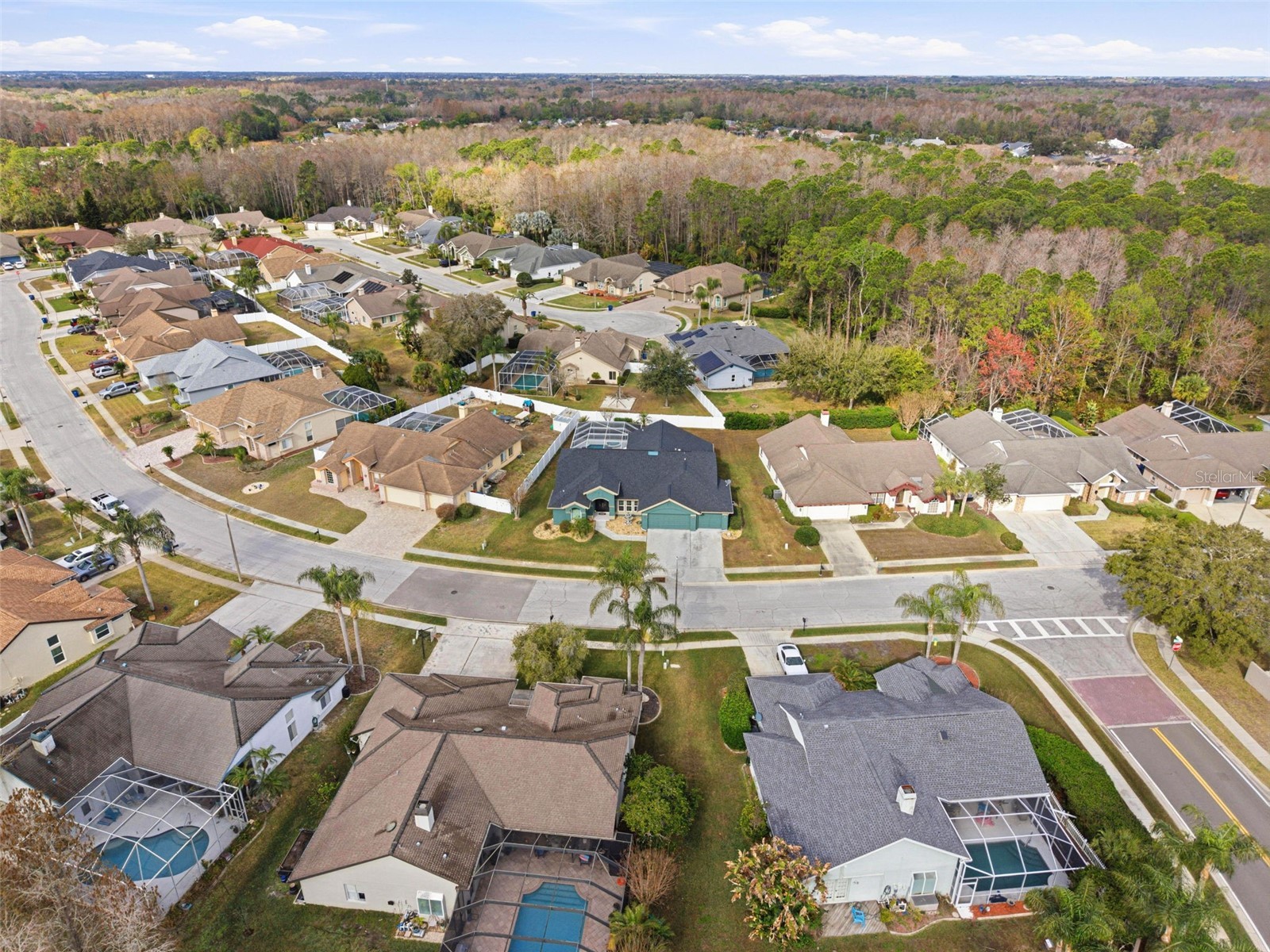 1319 Hoversham Drive New Port Richey FL 34655 TB8479765 image72