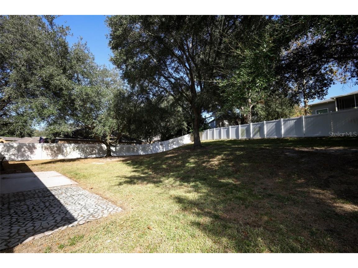 1319 Rain Forest Lane Minneola FL 34715 O6369542 image23