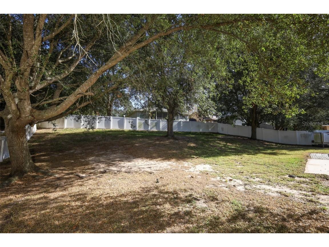 1319 Rain Forest Lane Minneola FL 34715 O6369542 image26