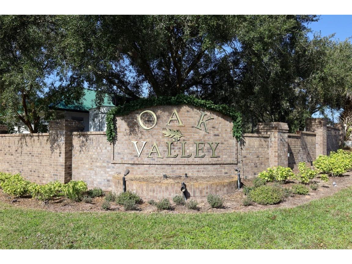 1319 Rain Forest Lane Minneola FL 34715 O6369542 image28