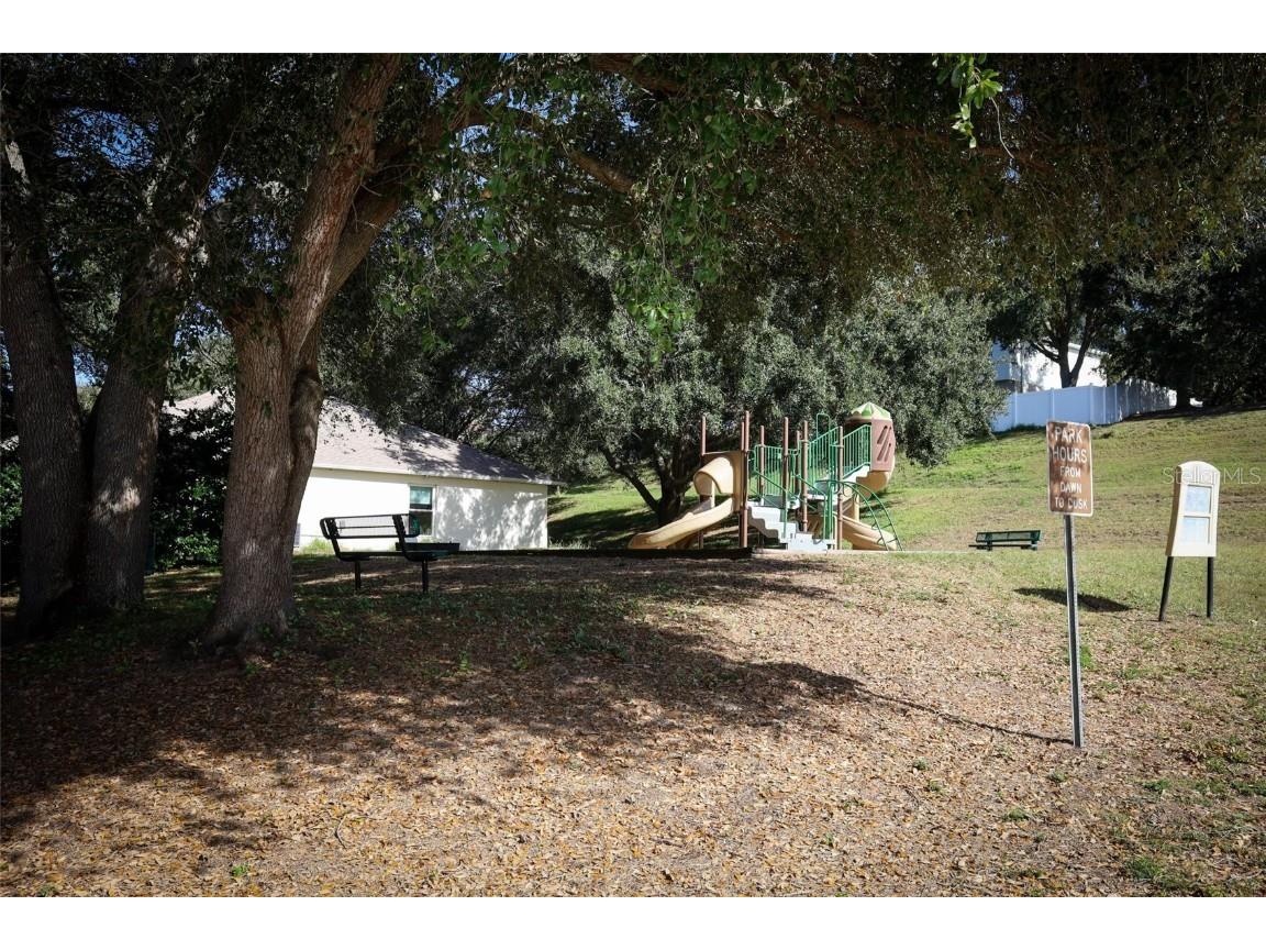1319 Rain Forest Lane Minneola FL 34715 O6369542 image29