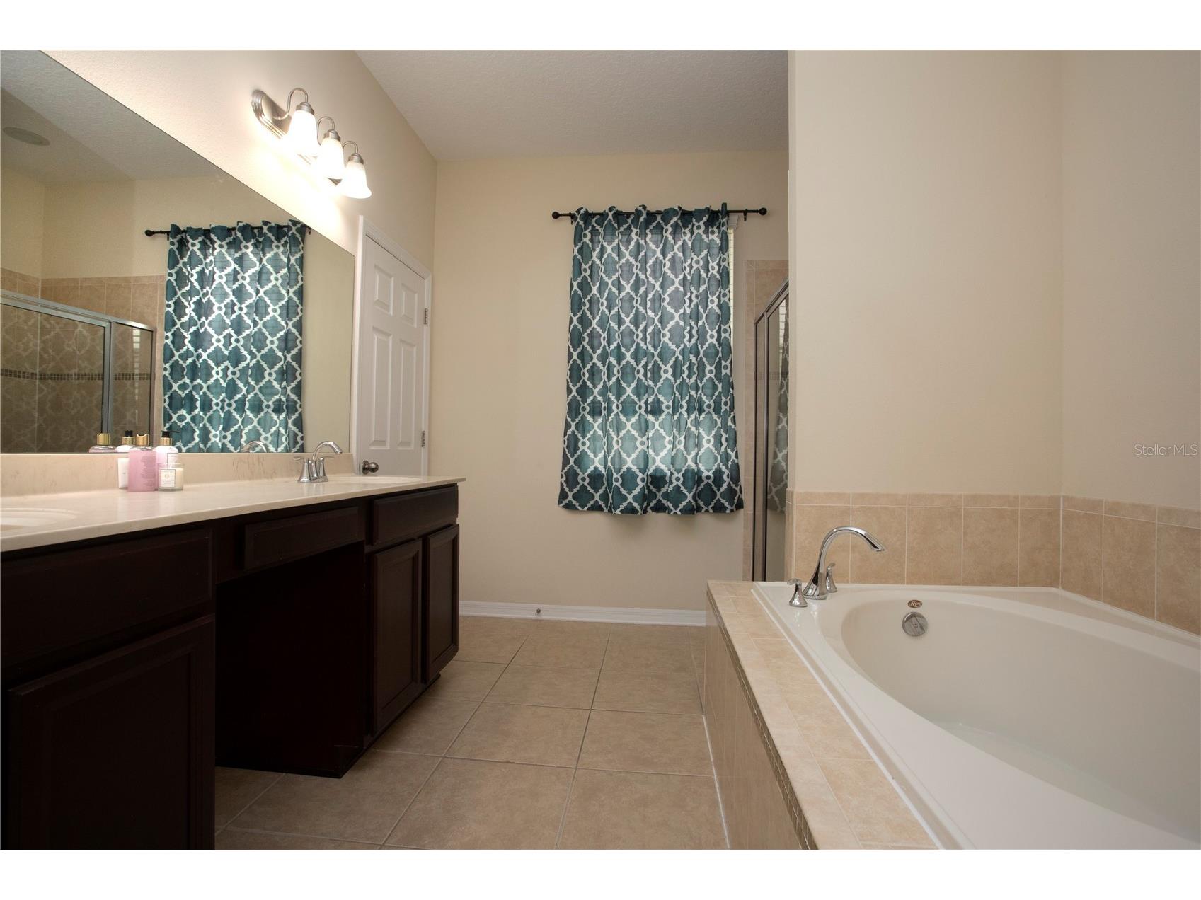 1319 Rowantree Drive Dover FL 33527 TB8505882 image17
