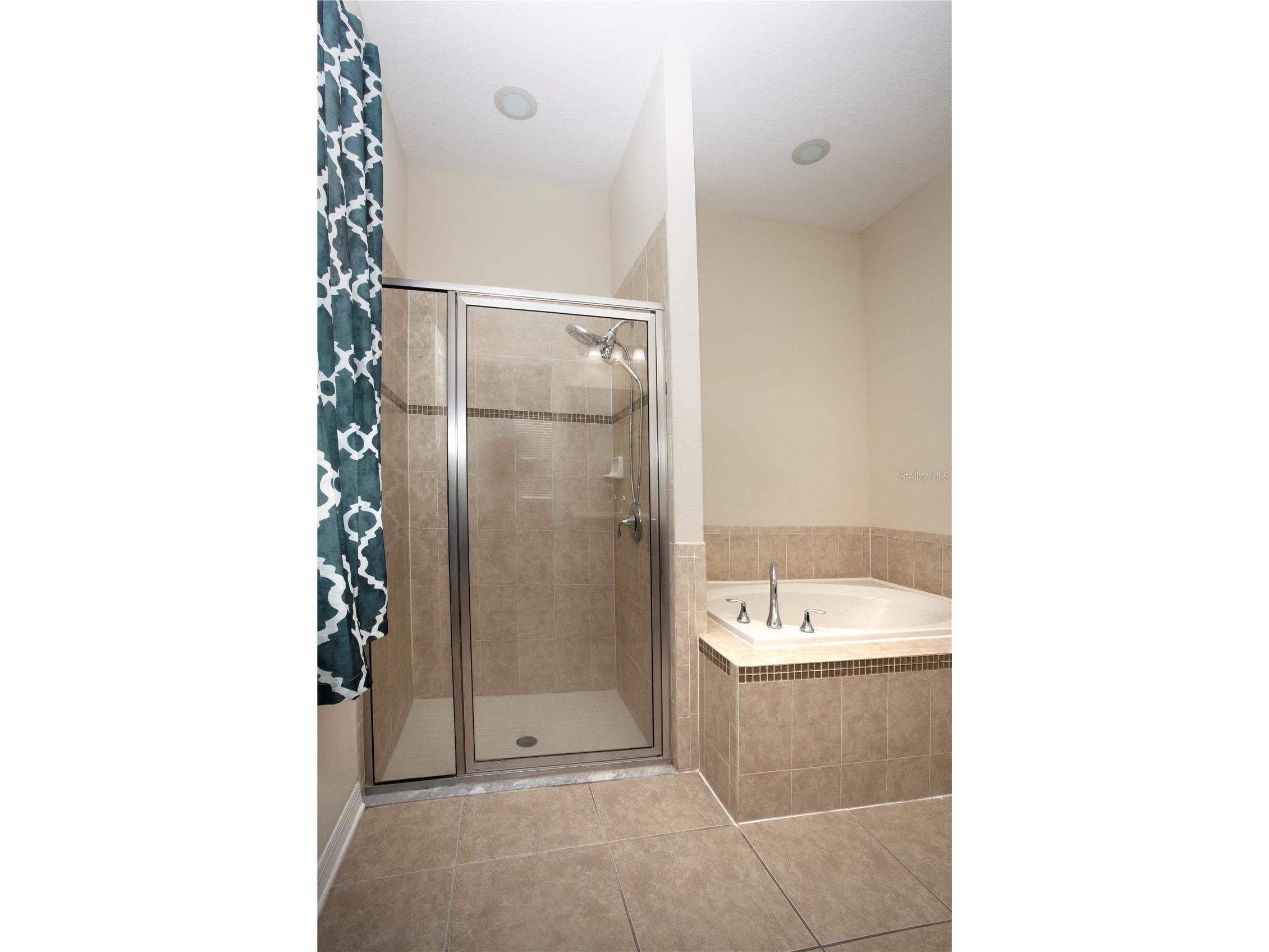 1319 Rowantree Drive Dover FL 33527 TB8505882 image18