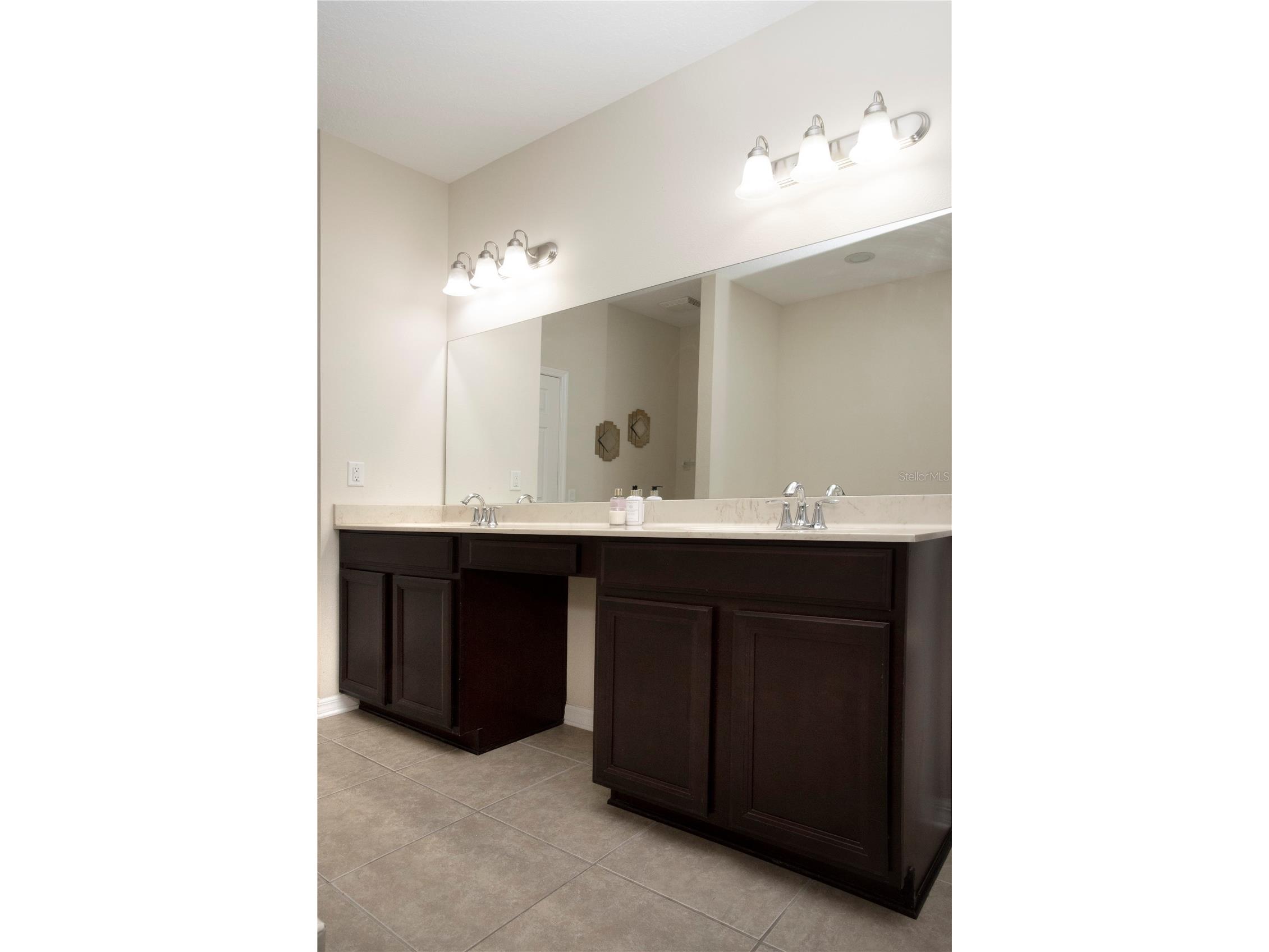 1319 Rowantree Drive Dover FL 33527 TB8505882 image19
