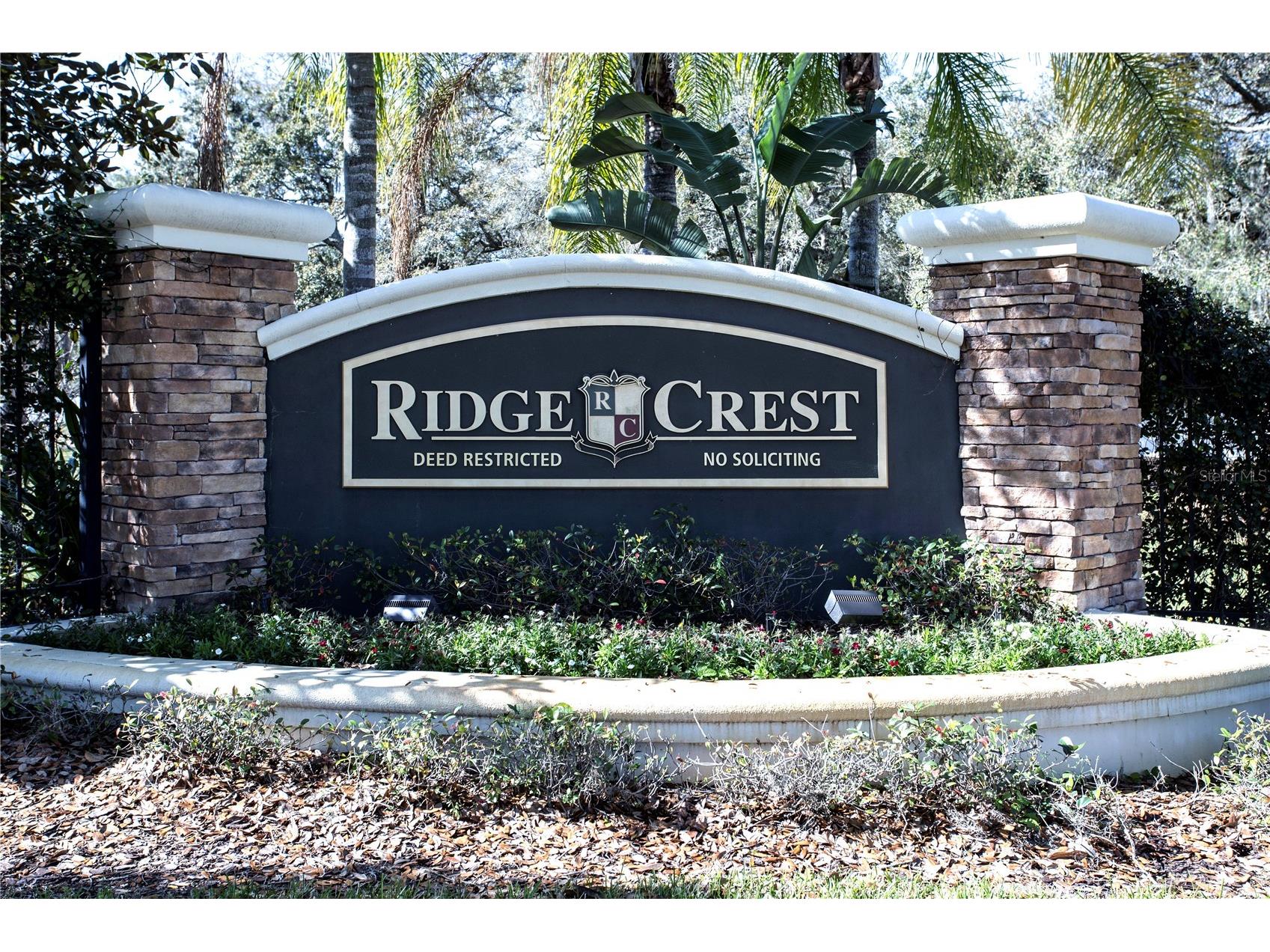 1319 Rowantree Drive Dover FL 33527 TB8505882 image30