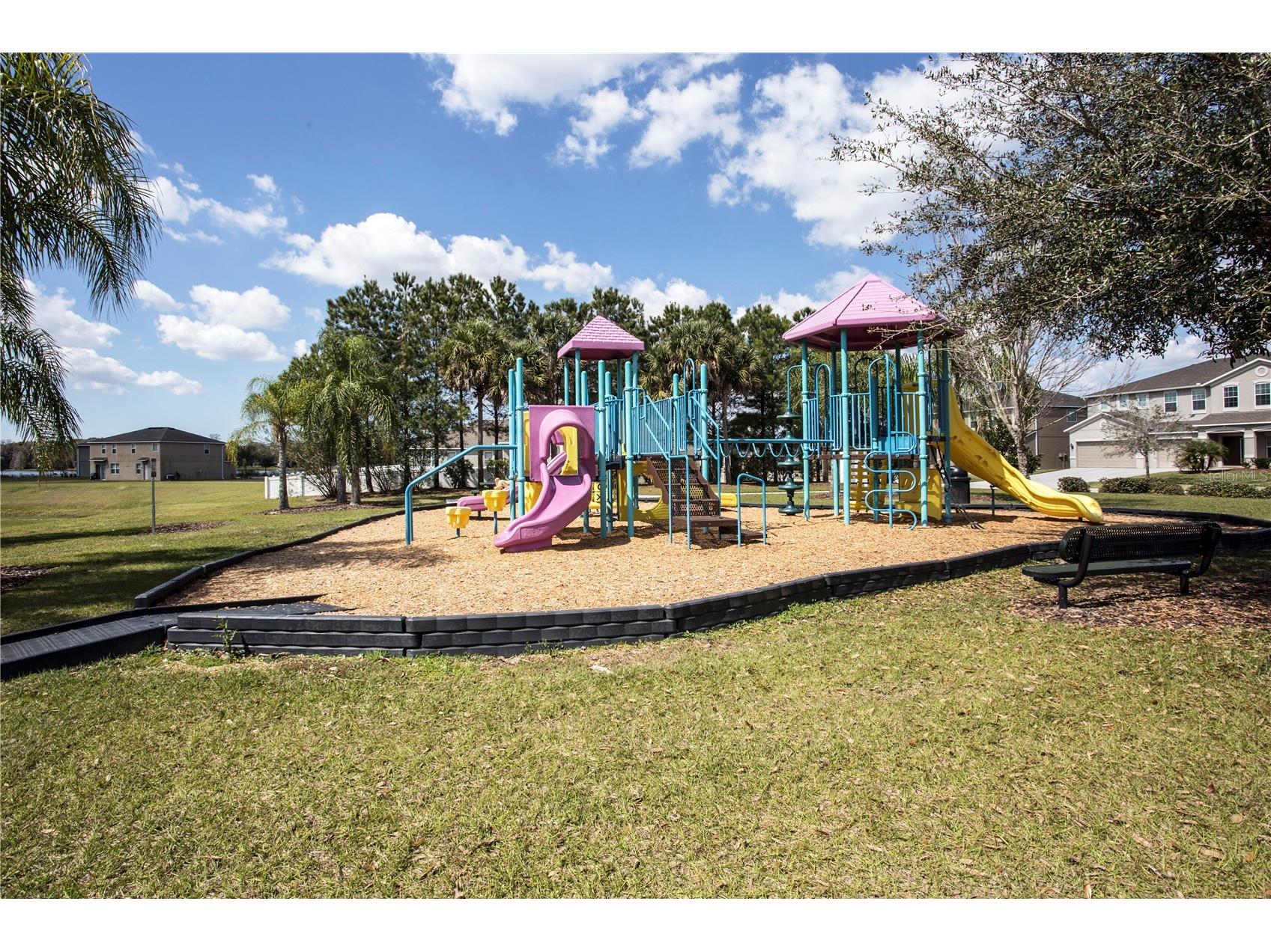 1319 Rowantree Drive Dover FL 33527 TB8505882 image31