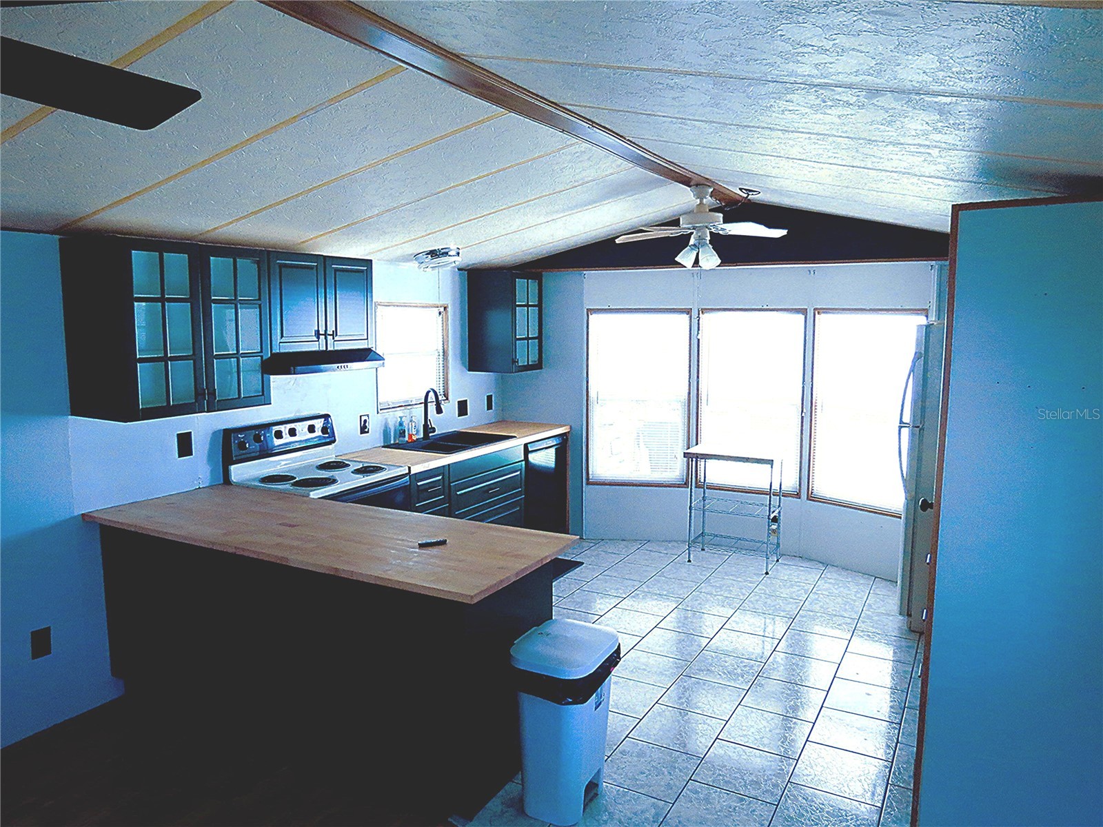 1319 Skyview Cove Lakeland FL 33801 L4962505 image9