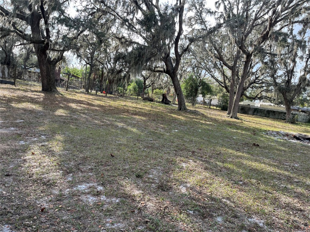 1319 Vance Road Plant City FL 33566 TB8335210 image1