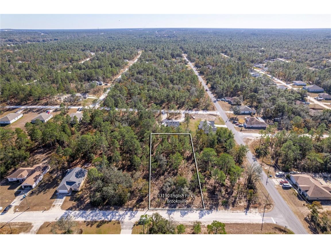 13190 English Fir Court Brooksville FL 34614 W7870655 image1