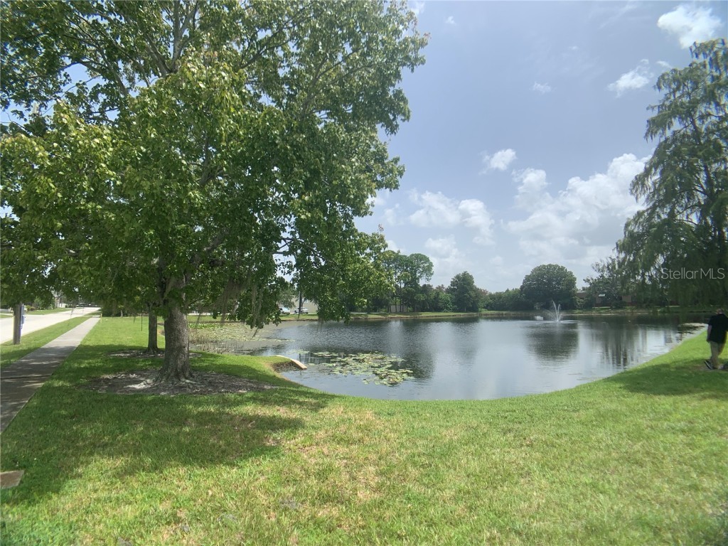 13191 Starkey Road #15 & 16 Largo FL 33773 T3330934 image10