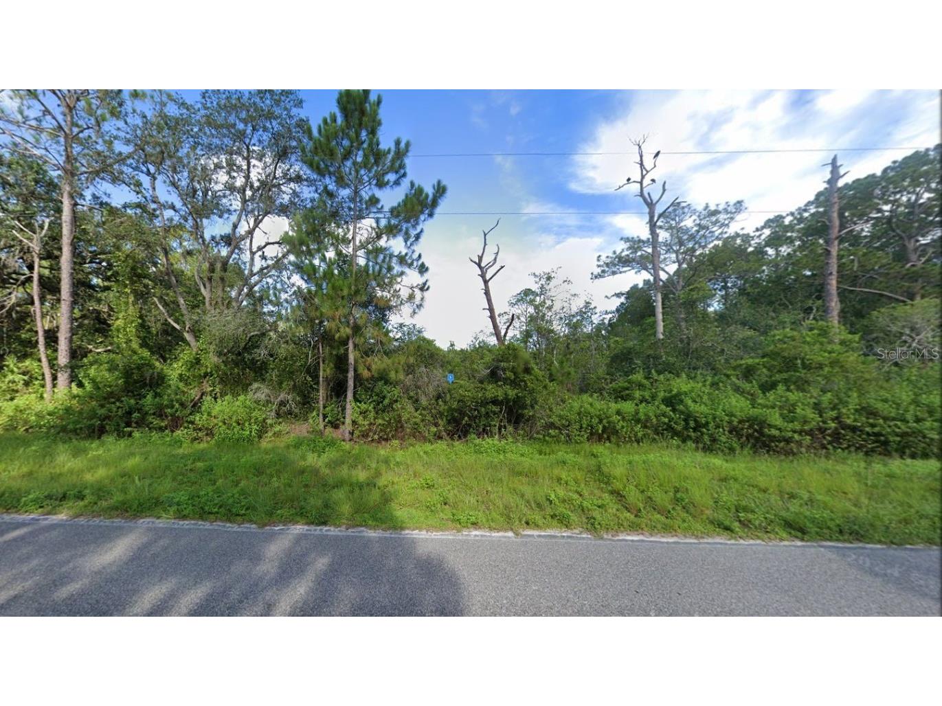 13191 Sweet Hill Road, Polk City, FL, 33868 MLS A4626149 Edina Realty