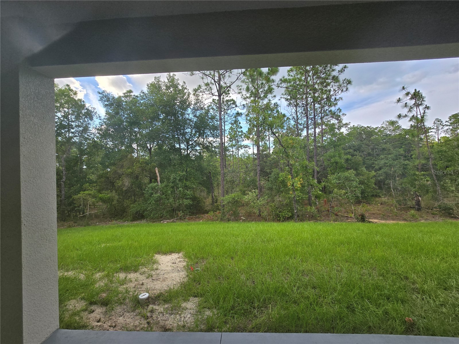 13193 Barnevelde Road Weeki Wachee FL 34614 W7883670 image62
