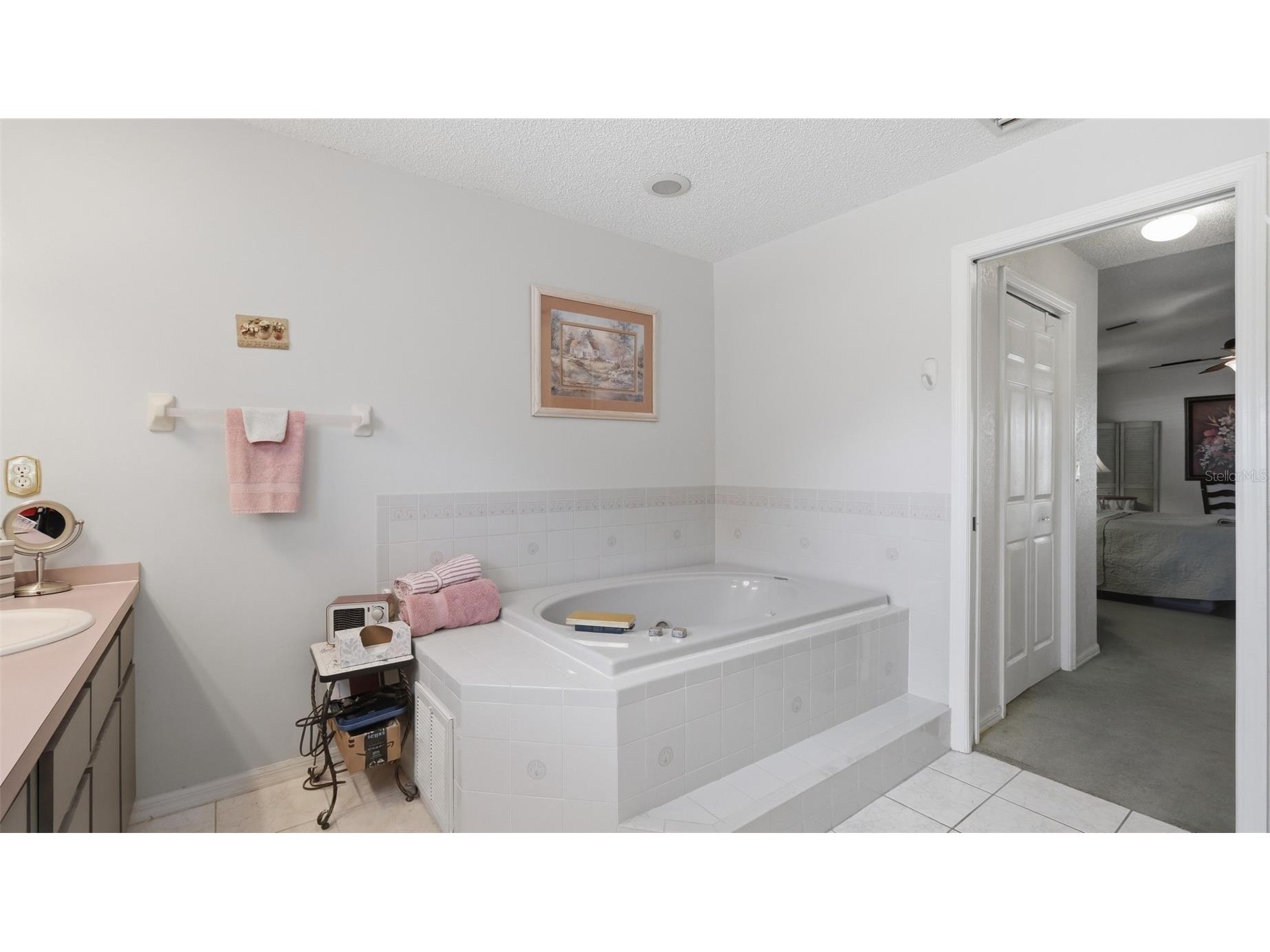13194 Roseanna Drive Spring Hill FL 34609 W7887384 image36