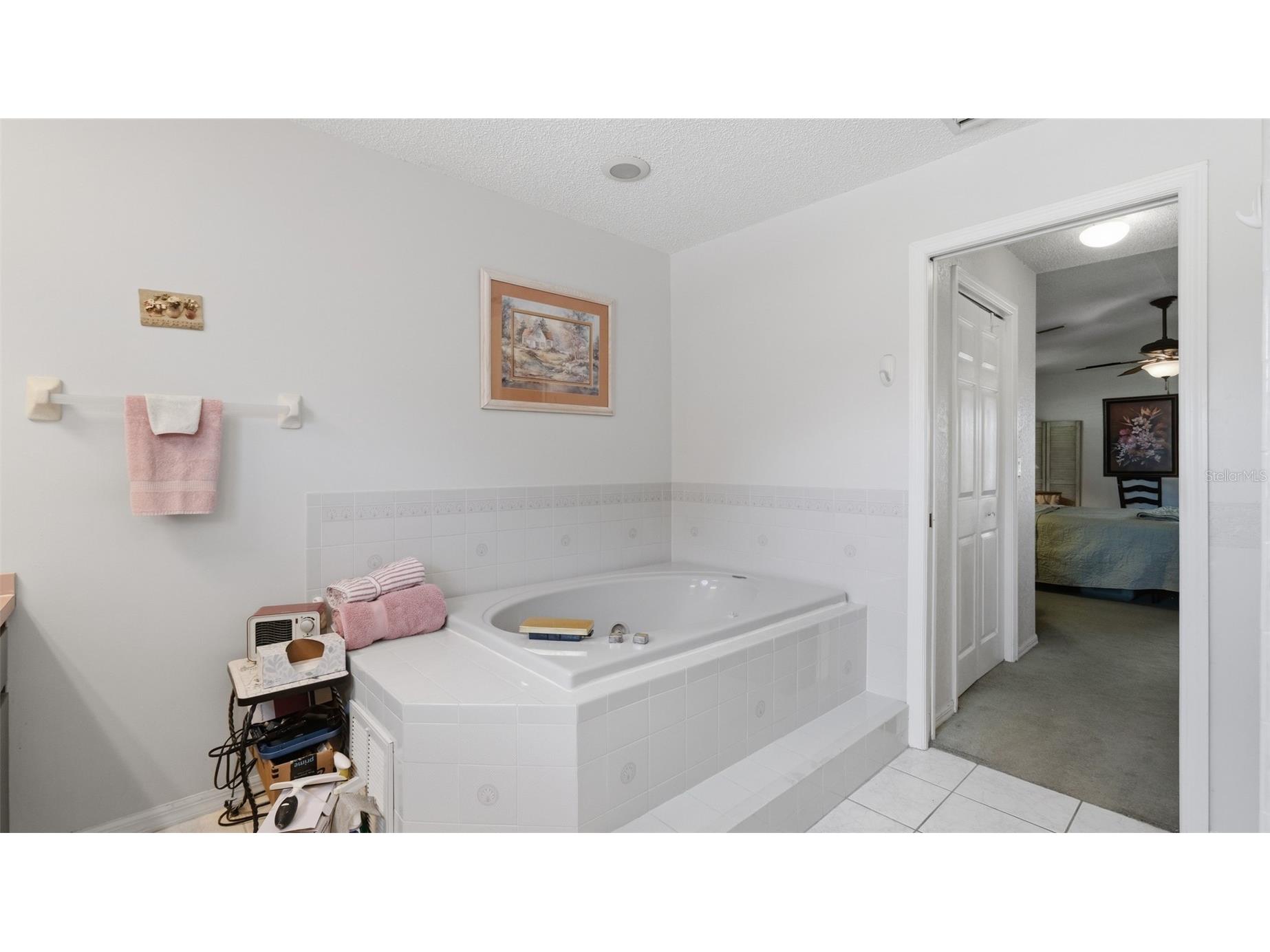 13194 Roseanna Drive Spring Hill FL 34609 W7887384 image37