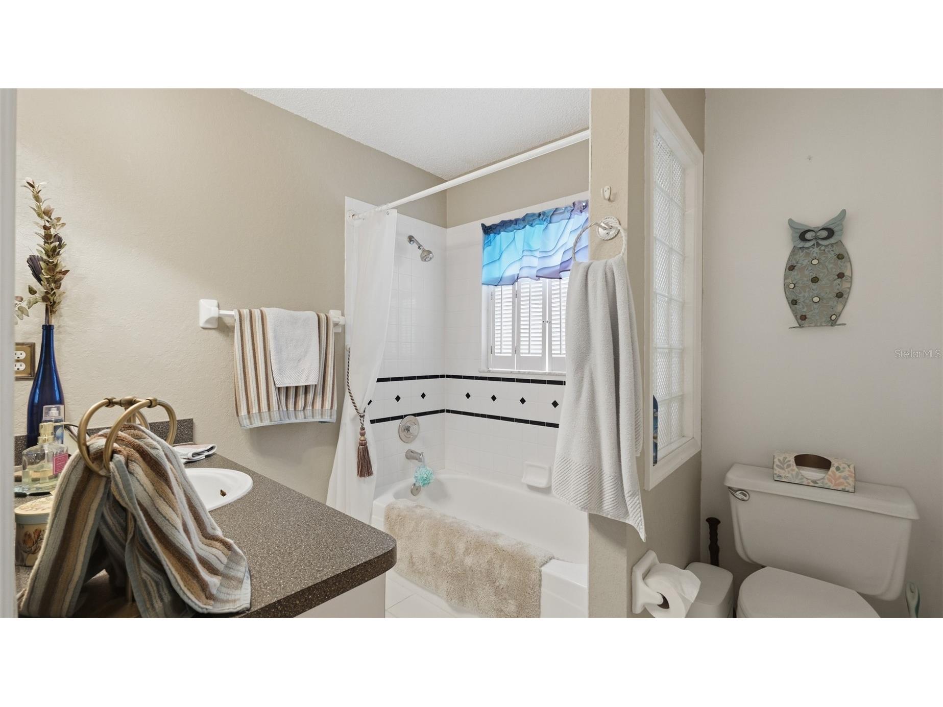 13194 Roseanna Drive Spring Hill FL 34609 W7887384 image40
