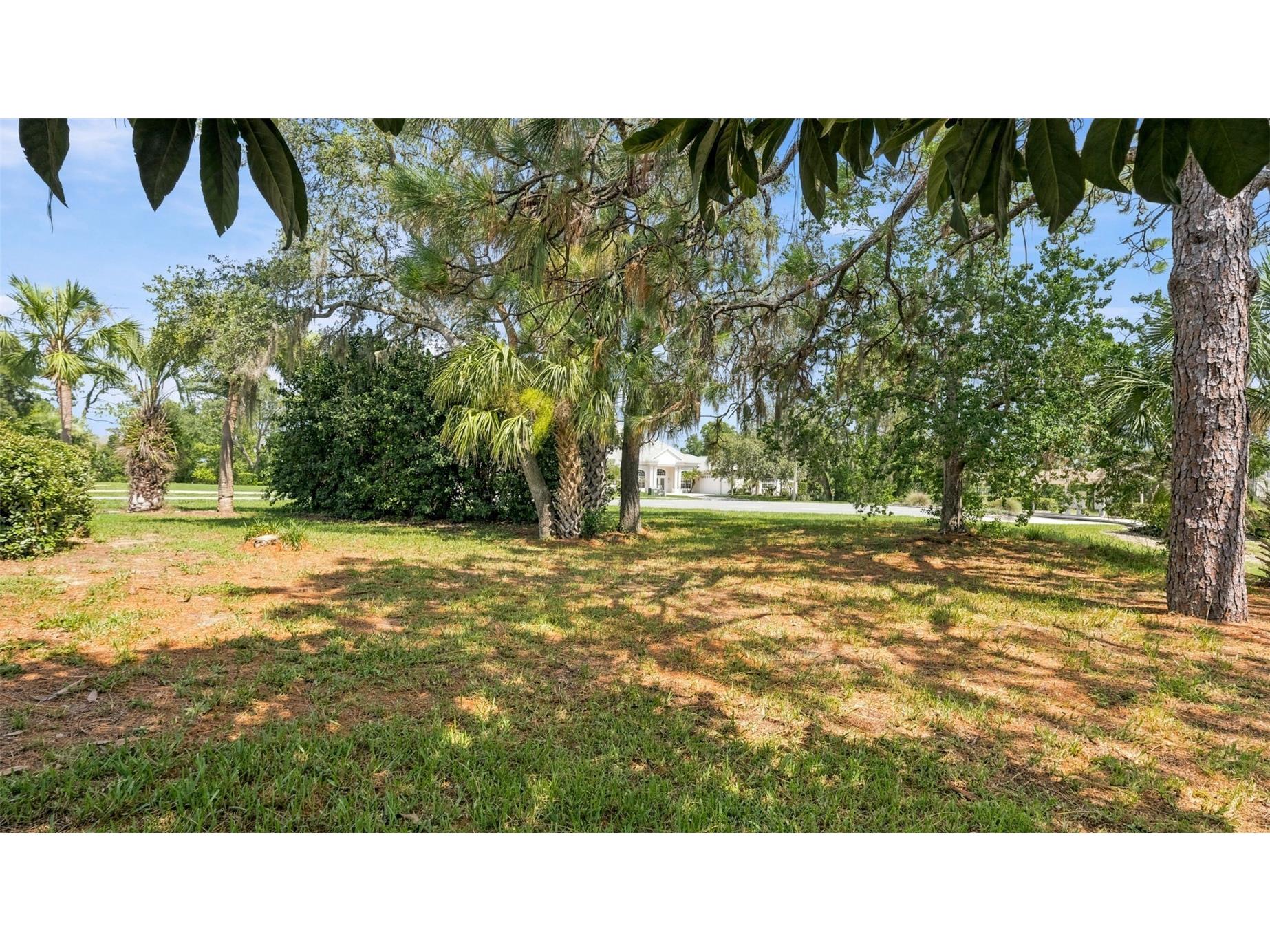 13194 Roseanna Drive Spring Hill FL 34609 W7887384 image61