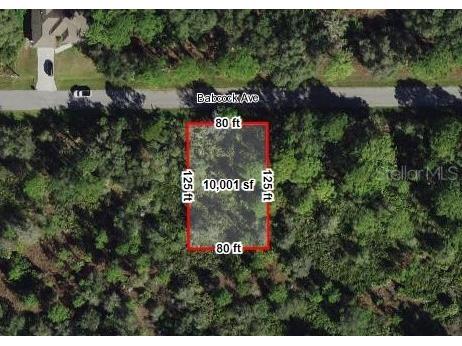 13195 Babcock Avenue Port Charlotte FL 33953 S5091165 image1