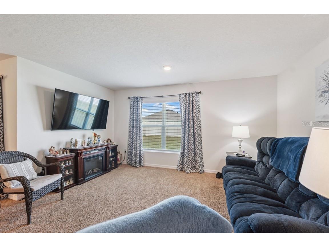 13196 Golden Lime Avenue Spring Hill FL 34609 W7879468 image14