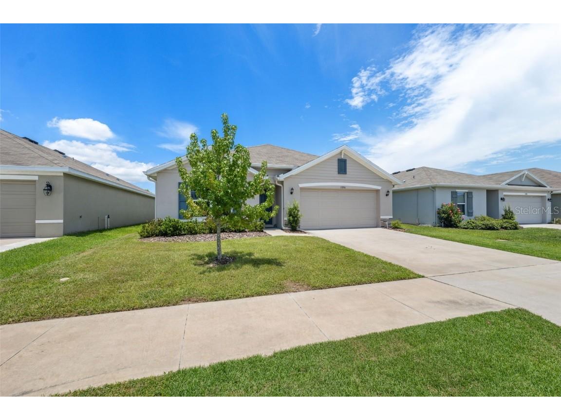 13196 Golden Lime Avenue Spring Hill FL 34609 W7879468 image32