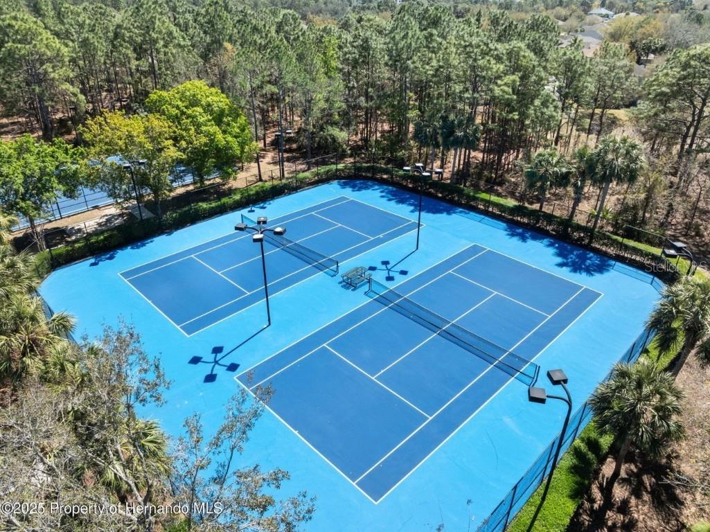 13196 Golden Lime Avenue Spring Hill FL 34609 W7879468 image35