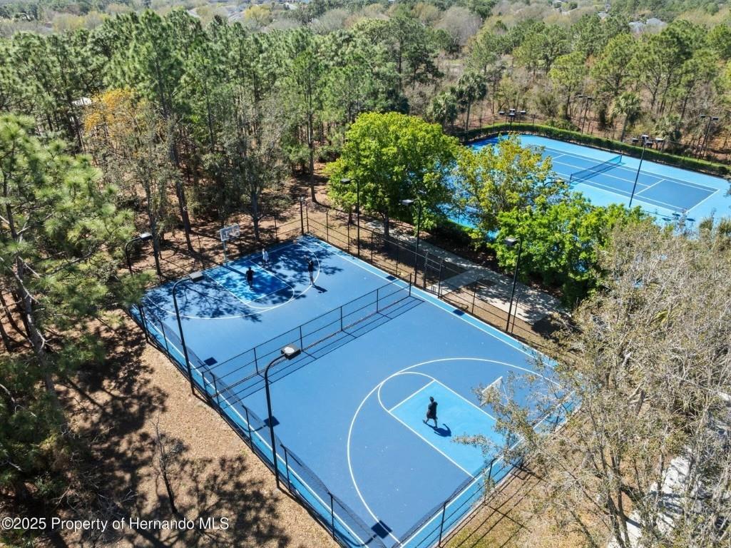 13196 Golden Lime Avenue Spring Hill FL 34609 W7879468 image38