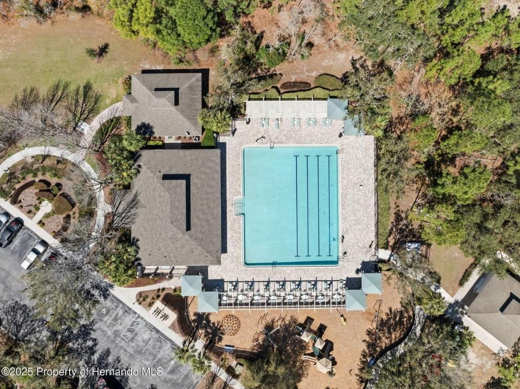 13196 Golden Lime Avenue Spring Hill FL 34609 W7879468 image41