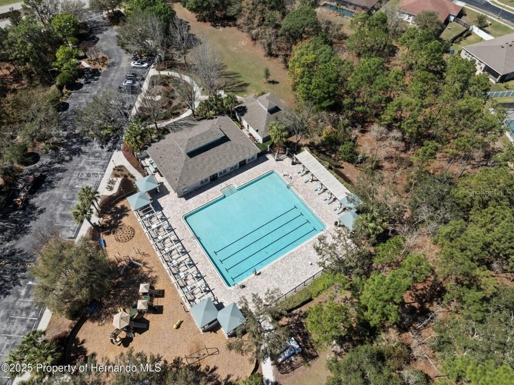 13196 Golden Lime Avenue Spring Hill FL 34609 W7879468 image42