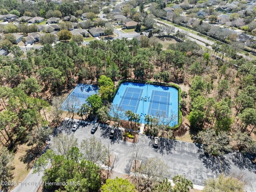 13196 Golden Lime Avenue Spring Hill FL 34609 W7879468 image43