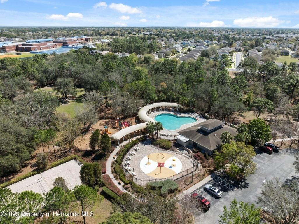 13196 Golden Lime Avenue Spring Hill FL 34609 W7879468 image50