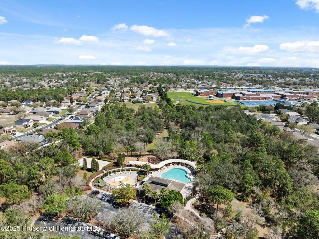 13196 Golden Lime Avenue Spring Hill FL 34609 W7879468 image52