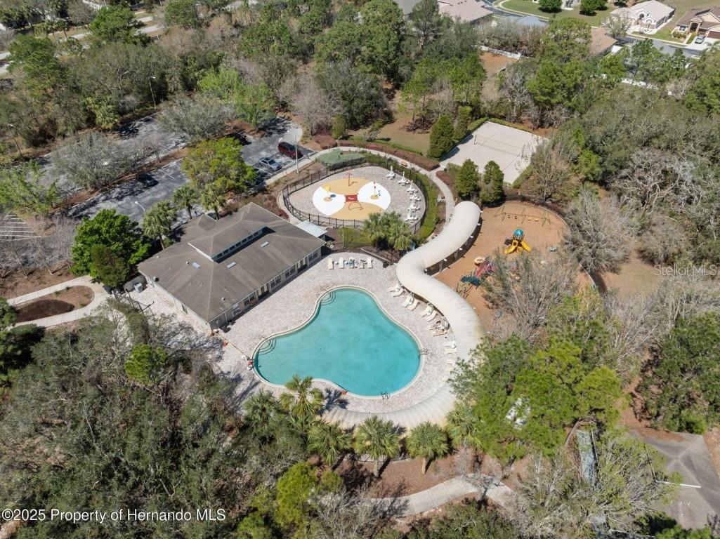 13196 Golden Lime Avenue Spring Hill FL 34609 W7879468 image58