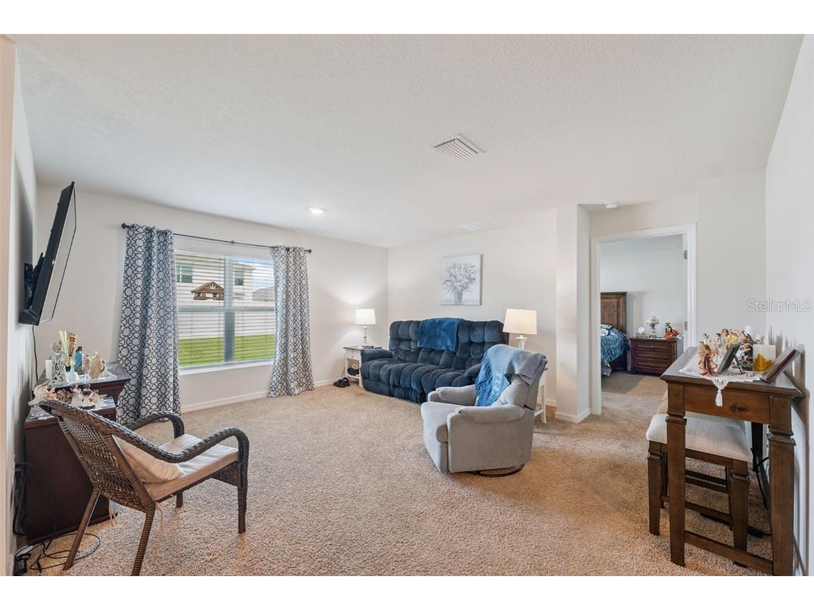 13196 Golden Lime Avenue Spring Hill FL 34609 W7879468 image73