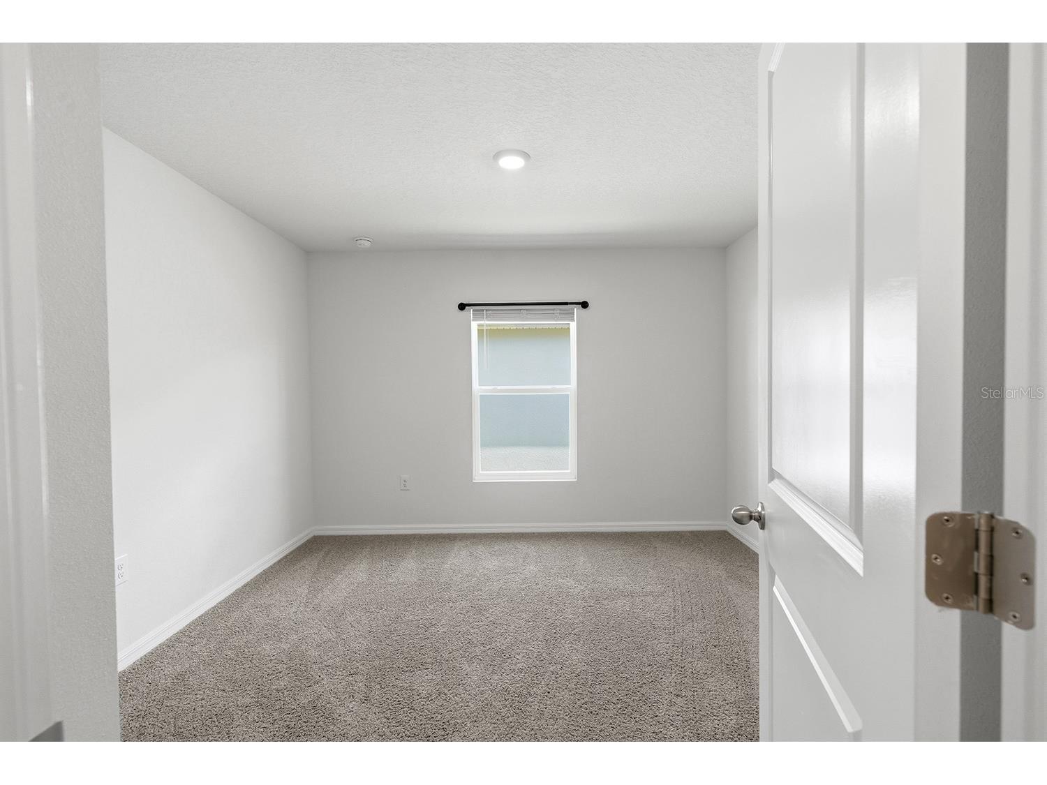 13196 Golden Lime Avenue Spring Hill FL 34609 W7885324 image17
