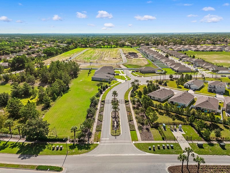 13196 Golden Lime Avenue Spring Hill FL 34609 W7885324 image46