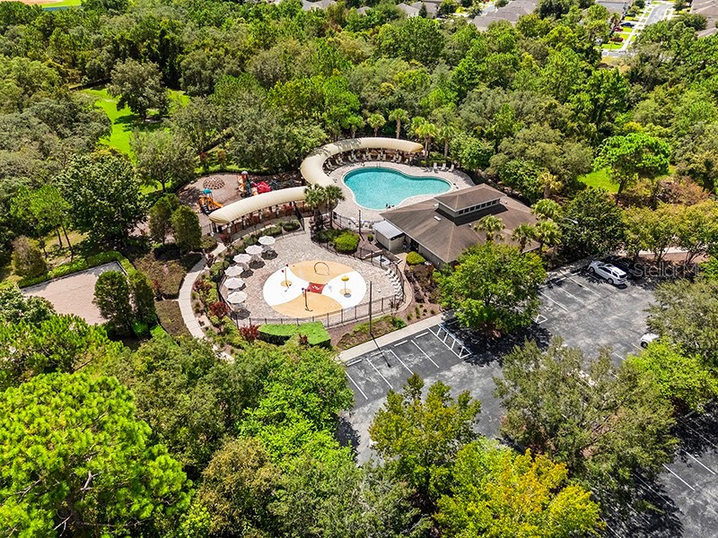 13196 Golden Lime Avenue Spring Hill FL 34609 W7885324 image47