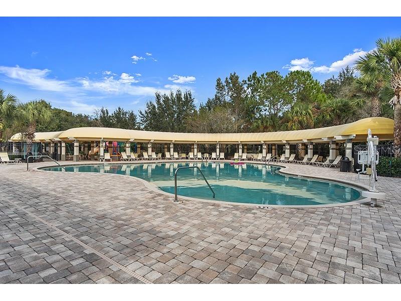 13196 Golden Lime Avenue Spring Hill FL 34609 W7885324 image48