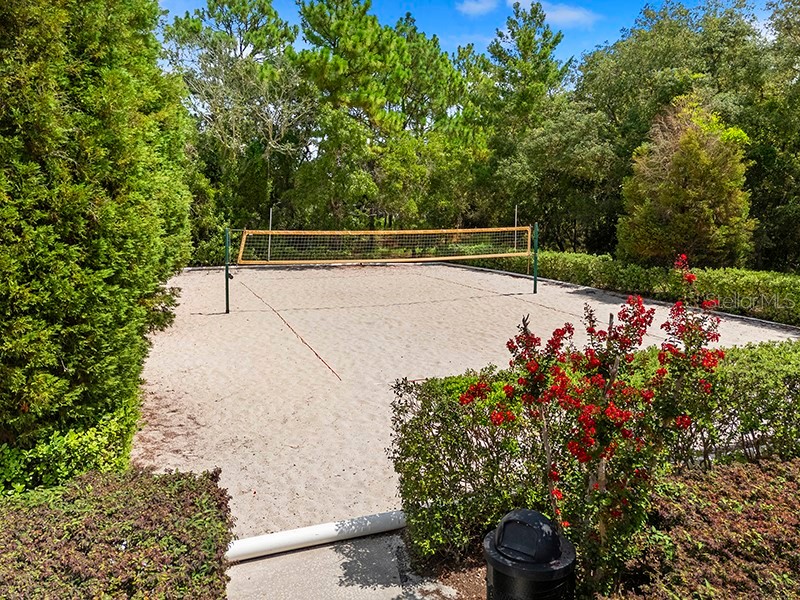 13196 Golden Lime Avenue Spring Hill FL 34609 W7885324 image54
