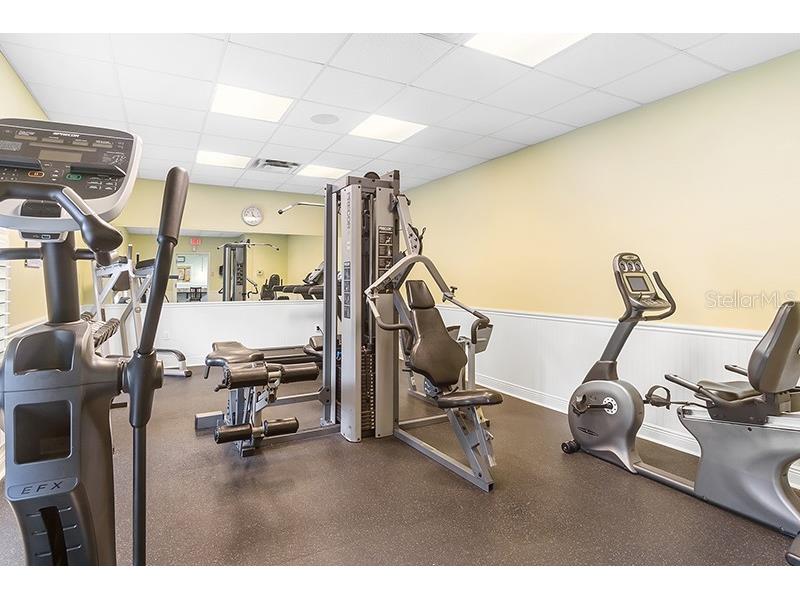 13196 Golden Lime Avenue Spring Hill FL 34609 W7885324 image57
