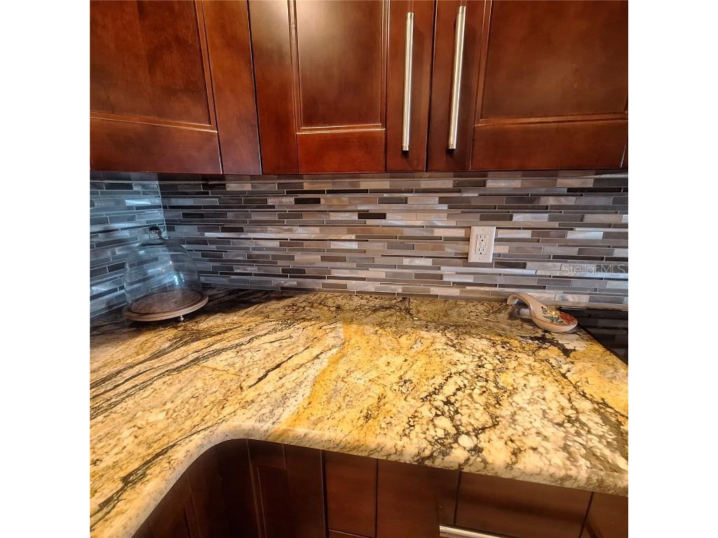 132 1st Street E #101 Tierra Verde FL 33715 TB8404693 image33