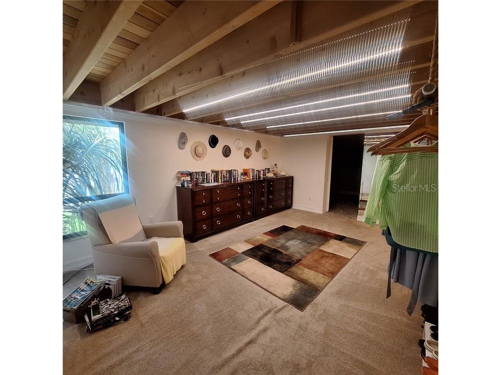 132 1st Street E #101 Tierra Verde FL 33715 TB8404693 image42