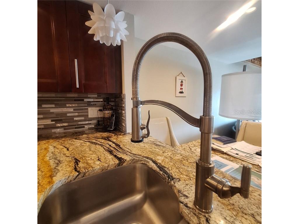 132 1st Street E #101 Tierra Verde FL 33715 TB8404693 image66