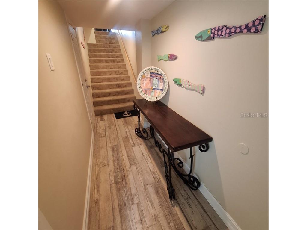 132 1st Street E #101 Tierra Verde FL 33715 TB8404693 image70