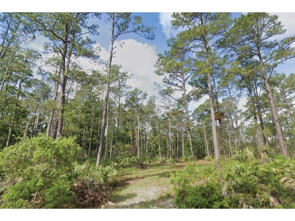 132 2nd Avenue Satsuma FL 32189 O6342042 image1