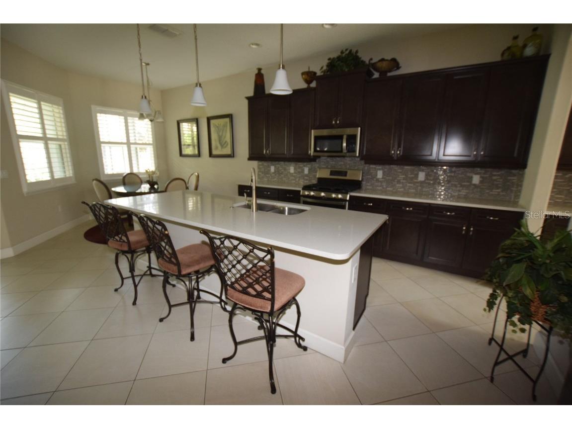 132 Amanthus Court Deland FL 32724 O6341525 image13