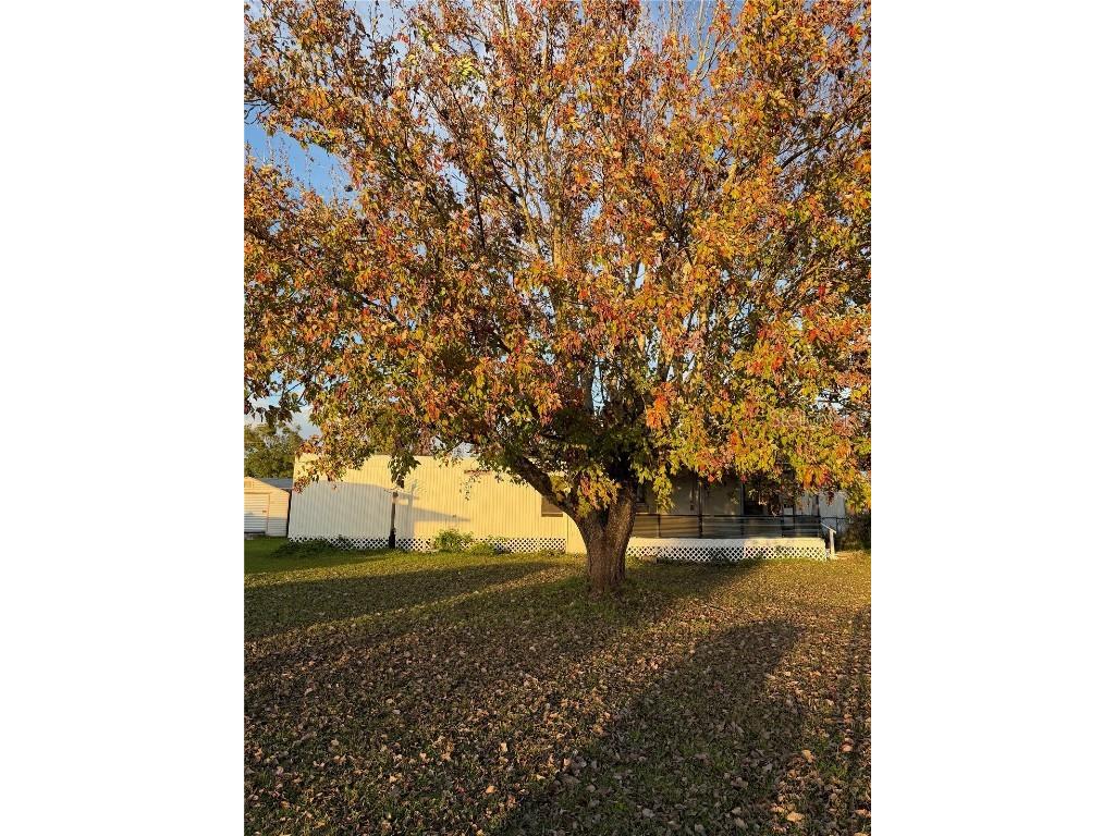 132 Center Street Oak Hill FL 32759 NS1086858 image10